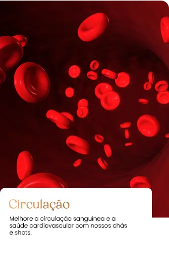 circulacao