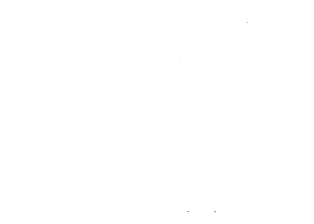 Waleska Silveira